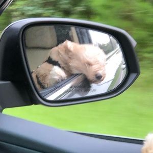 Meet your Posher, Matthew